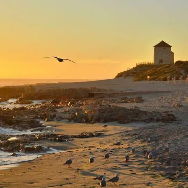 Casa De Praia - Studio Esposende Luaran gambar